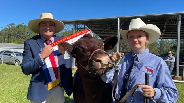 Wauchope Show cattle results