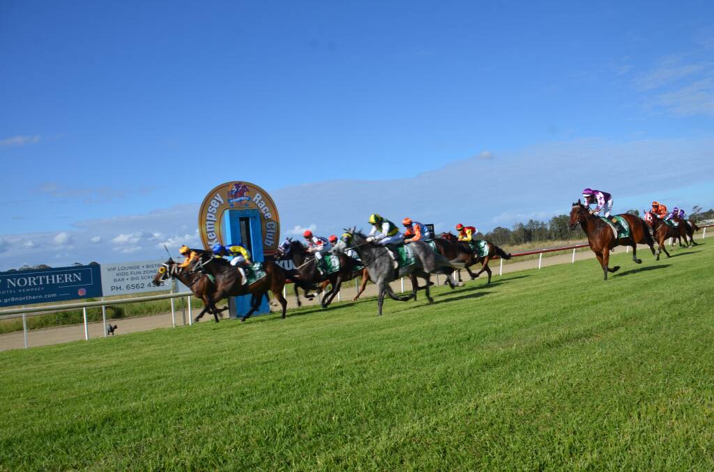 Kempsey Cup photos. Pictures by Mardi Borg