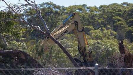 Trees being removed at the Rise Development site in South West Rocks