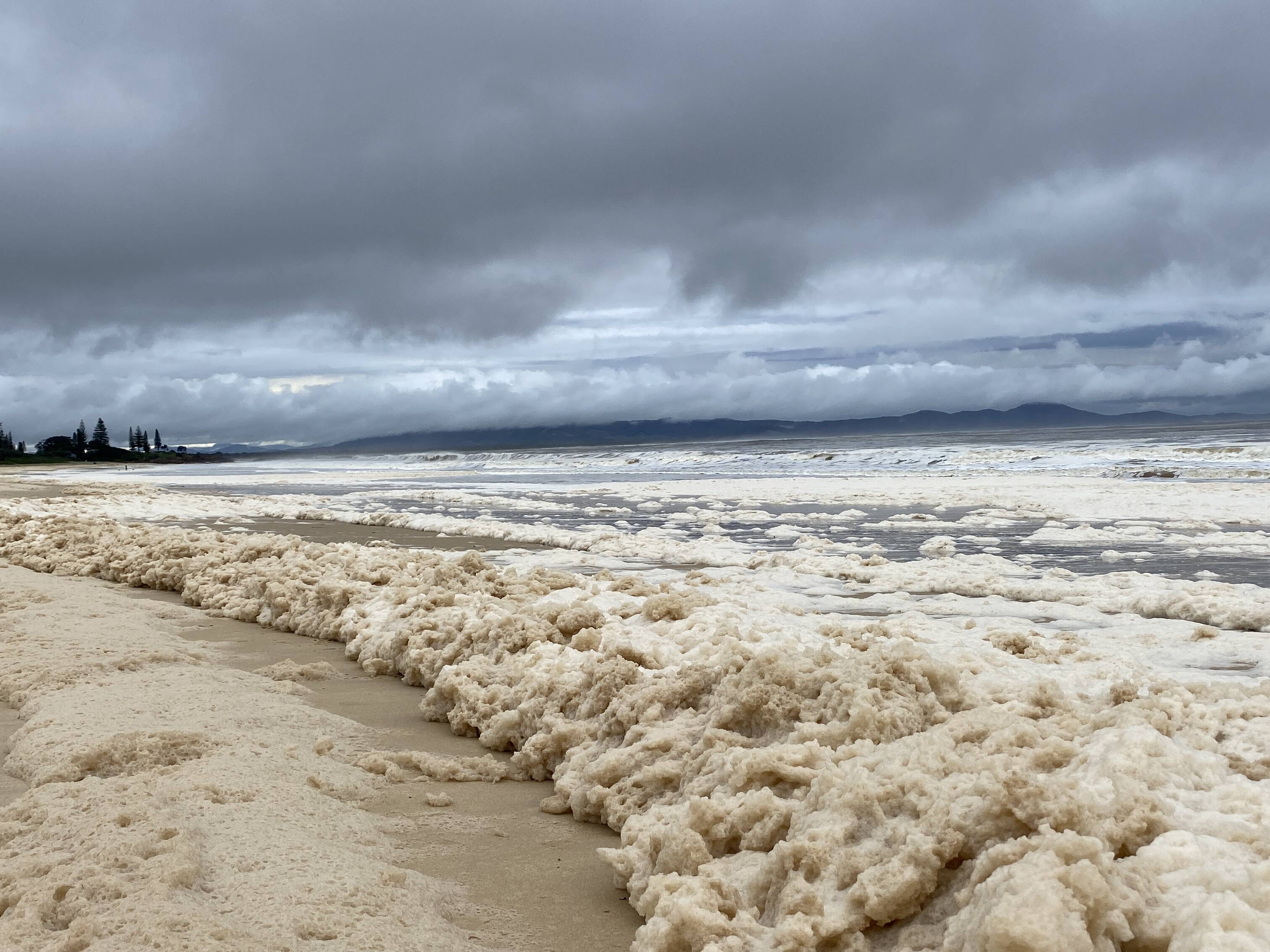 What is Sea Foam? The Phenomenon of a Foaming Ocean