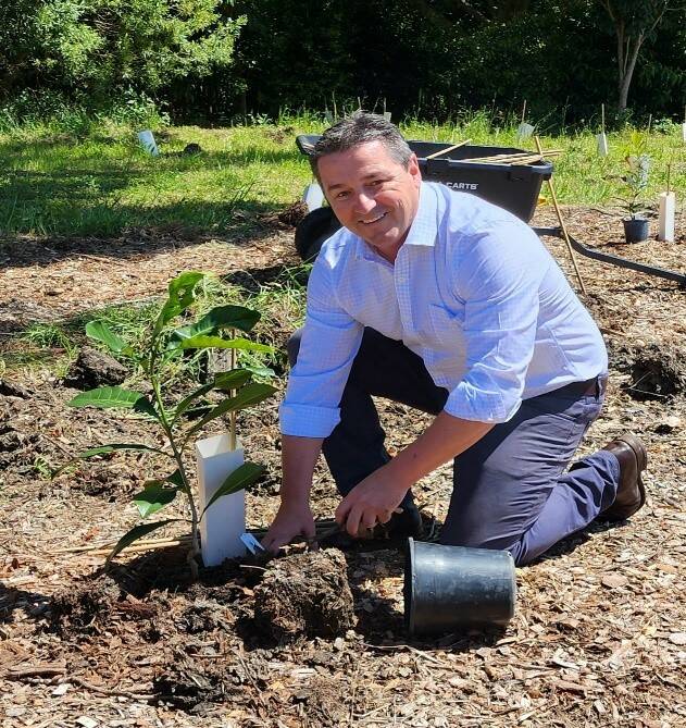 Local MP Pat Conaghan plants a new tree at east Kempsey as part of a government funded program to honour Her Majesty. Picture supplied.