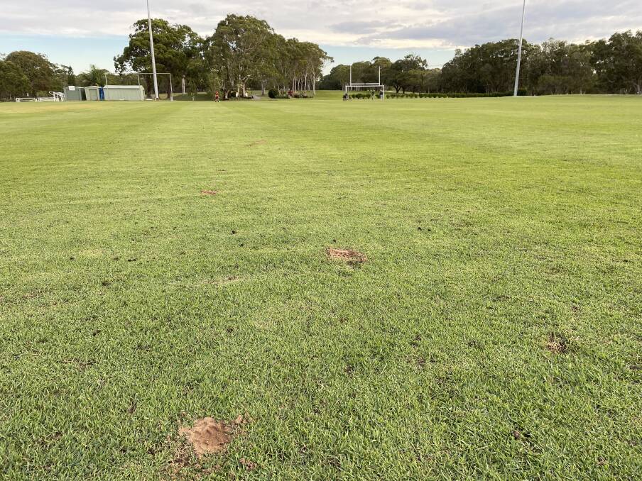 Divots that closed South West Rocks sports oval over the weekend were filled in on Tuesday, May 2. Picture by Ellie Chamberlain