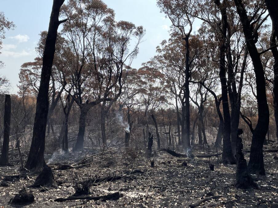 Hat Head 'ghostly' after fires. Pictures by Ellie Chamberlain