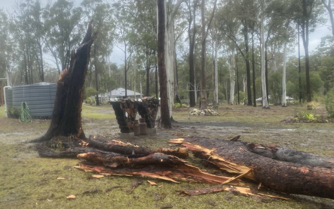 SES crews received approximately 18 calls for assistance, mostly in relation to fallen trees. Picture supplied by NSW SES Kempsey Shire unit