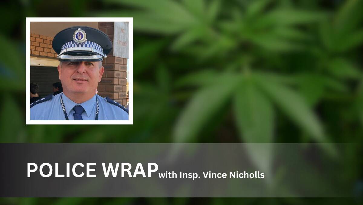 Police discovered over 80 cannabis plants while attending to a domestic violence related incident | October 5