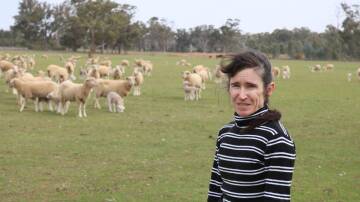 Dr Susan Robertson, along with CSU honours student Walter Morton, investigated whether grazing lambing ewes on legumes versus oats made a difference in lamb mortality rates. File picture.