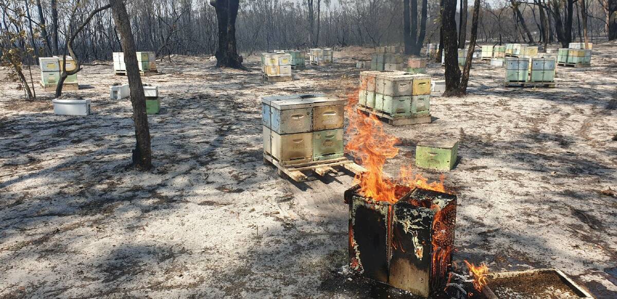 Devastation: Over 80 of Mr Brenton's bee hives were destroyed in the recent fire crisis. Photo: Supplied. 