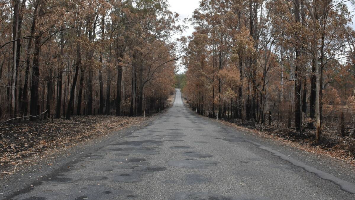 Aftermath of the Willi Willi Fire. Pictures by Ruby Pascoe