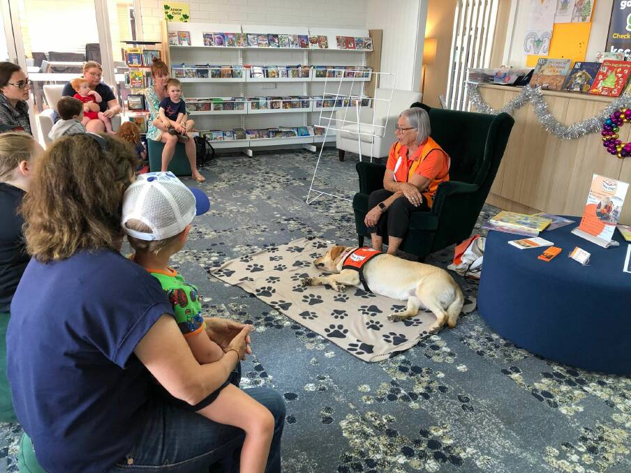Join Piper the Story Dog for a pats, songs and tales these July School Holidays. Picture supplied