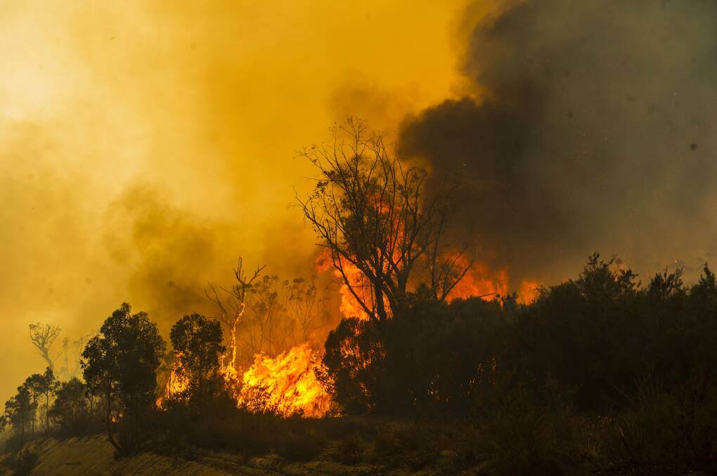 The NSW Tianjara Fire near Batemans Bay on Friday December 20. Photo: South Coast Register 