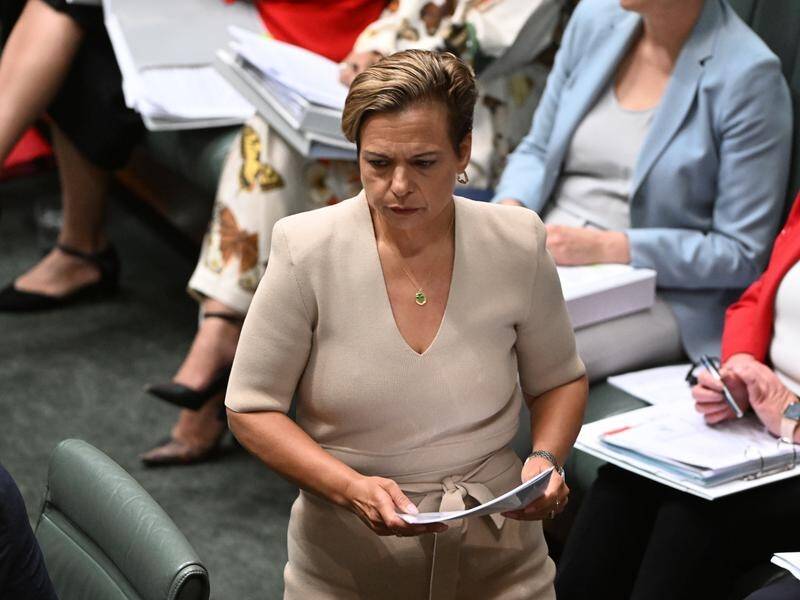 Michelle Rowland made "all the appropriate declarations", the deputy prime minister said. (Mick Tsikas/AAP PHOTOS)