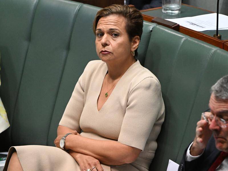 Communications Minister Michelle Rowland says every MP has to comply with disclosure rules. (Mick Tsikas/AAP PHOTOS)