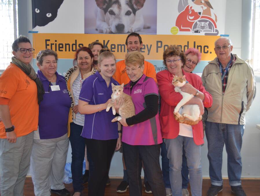 Treatment: Friends of Kempsey Pound, Kempsey Place Plan and Port Macquarie Animal Welfare Service worked together to treat 36 cats. Photo: Callum McGregor.