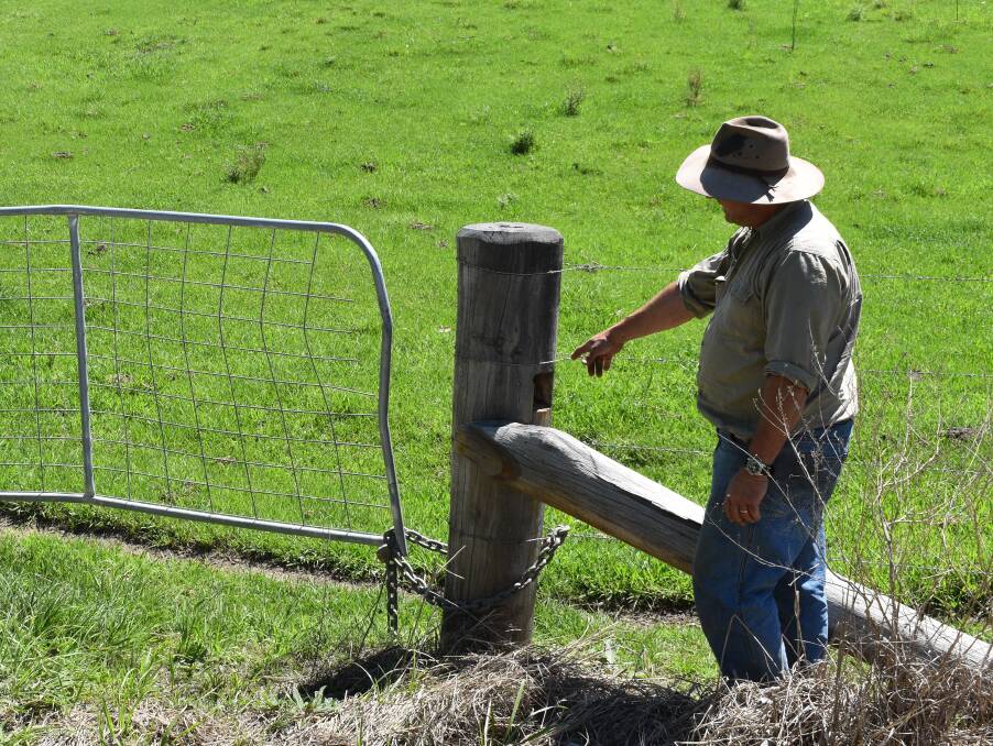 Comara Station manager Paul Lawrence points to the damage to a fence on his property.